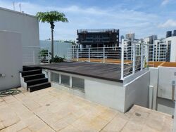 Balmoral Crest (D10), Apartment #476134591